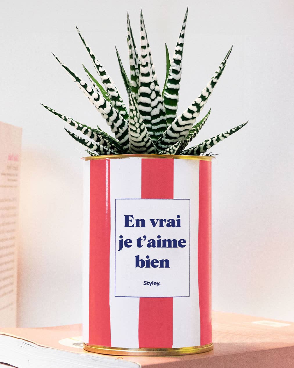 Plante en pot - En vrai je t'aime bien - pot à rayures
