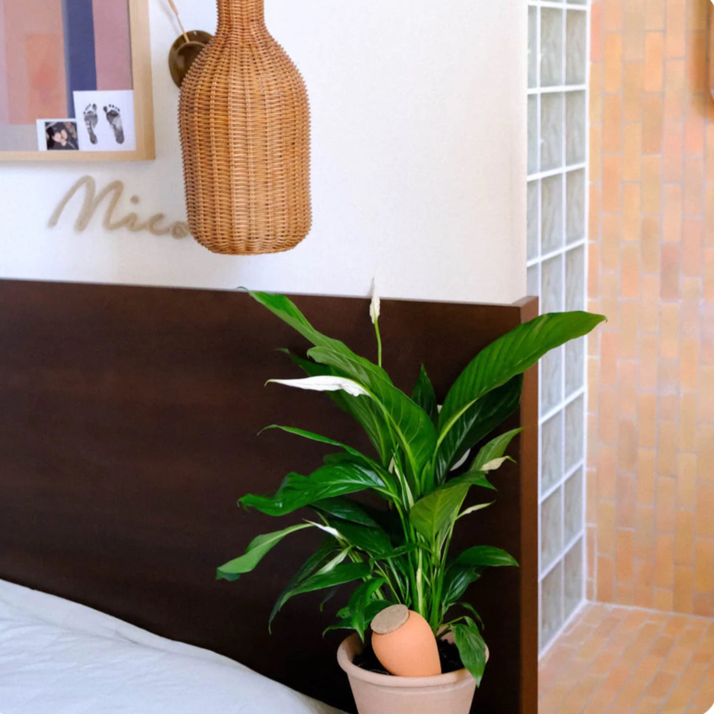 Olla hydratante en terracotta