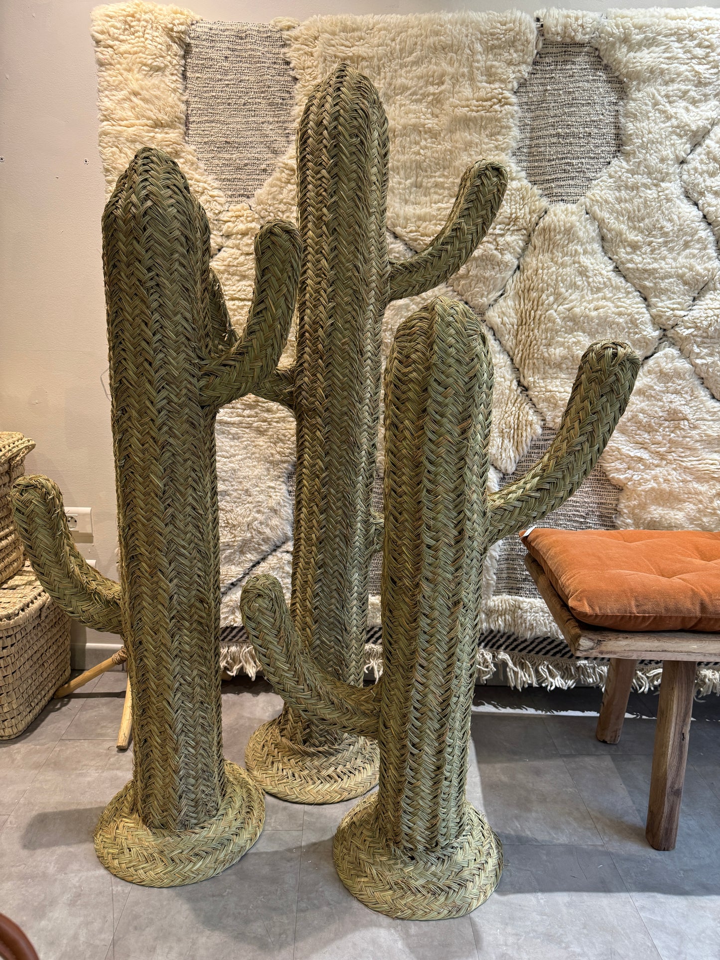 Cactus en Alfa et Fer Forgé – Artisanat Marocain