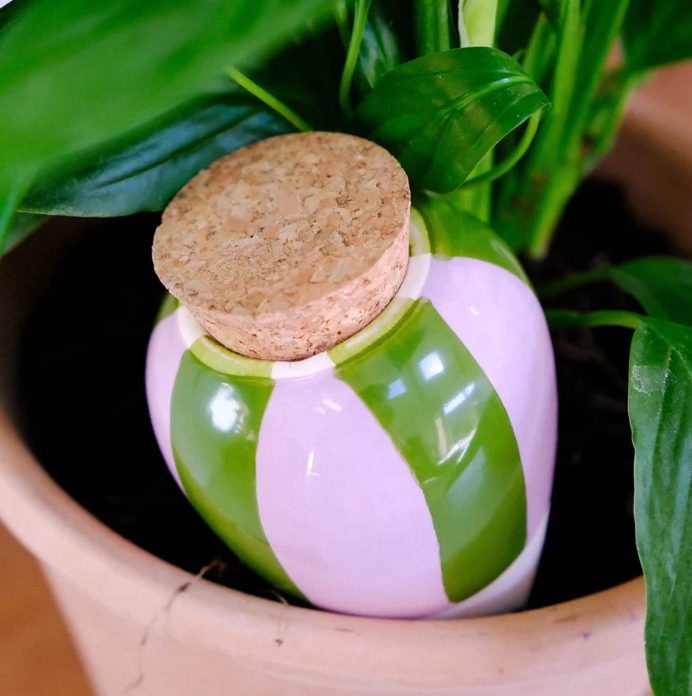 Olla hydratante – Rayé Vert & Lilas