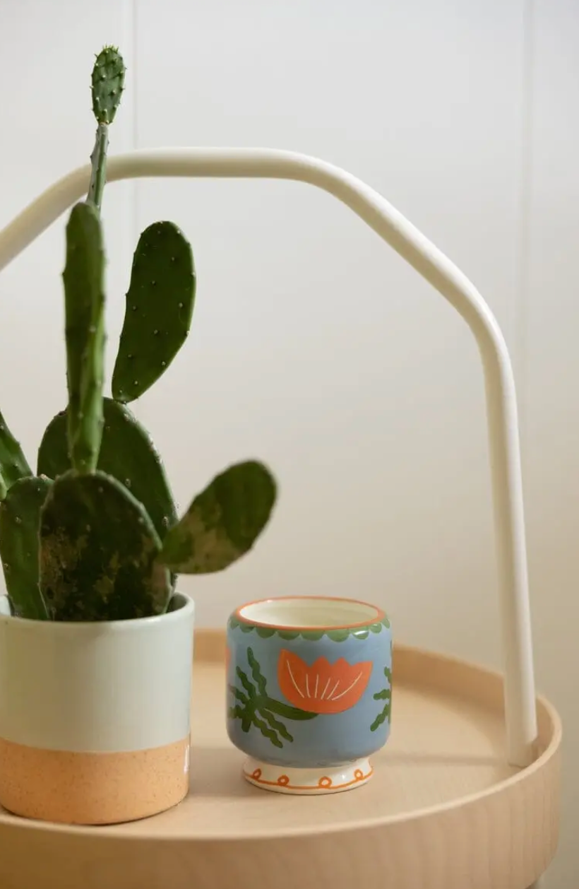 Fleur de cactus - Bougie