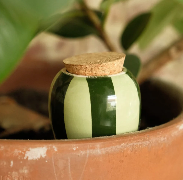Olla hydratante – Rayé Vert foncé et Vert clair