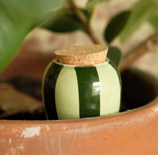Olla hydratante – Rayé Vert foncé et Vert clair