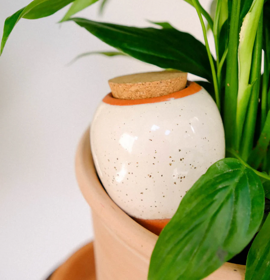 Olla hydratante Blanc grainé