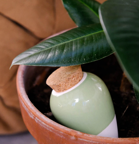 Olla hydratante Vert