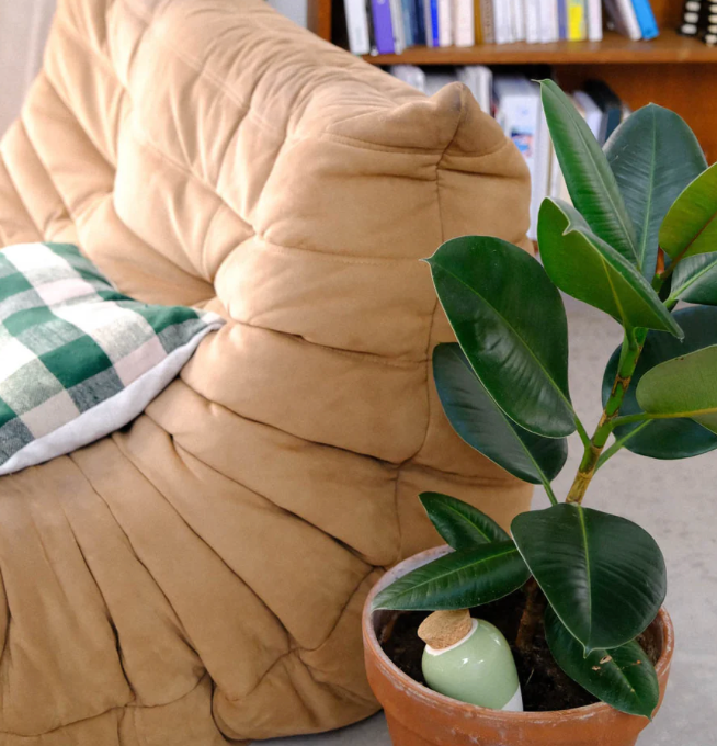 Olla hydratante Vert