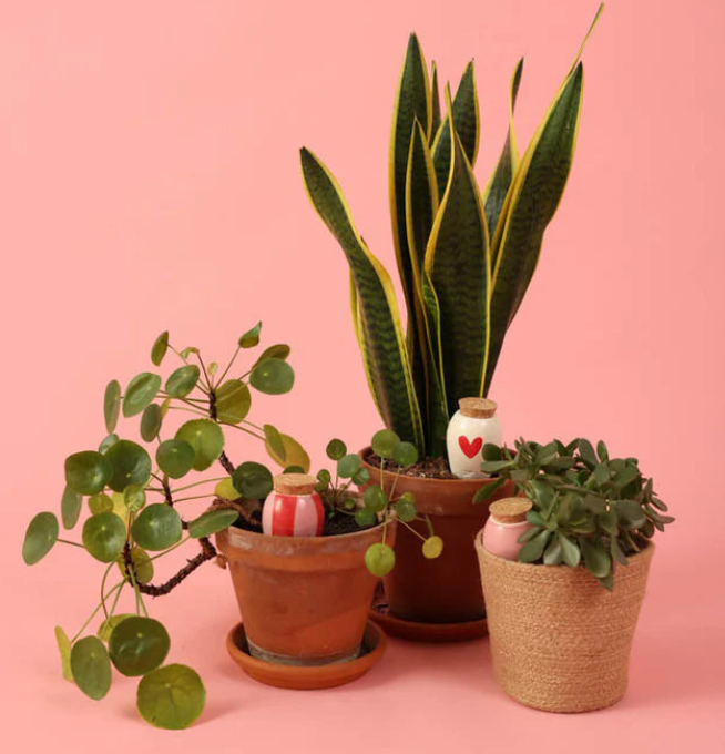 Trio Mini Olla – Les Lovers