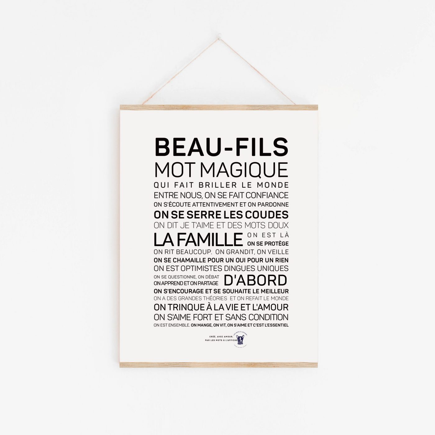 Affiche Beau-fils A6