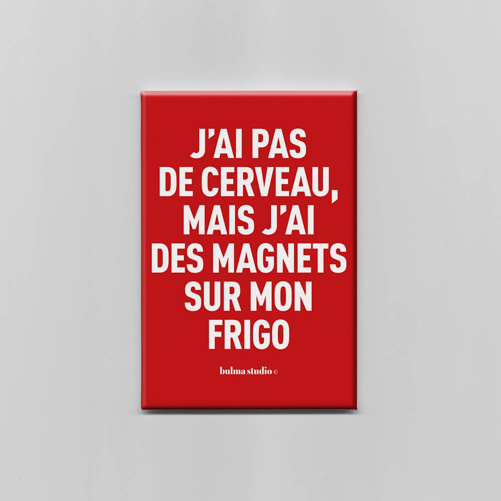 Aimant - " J'AI PAS DE CERVEAU MAIS J'AI DES MAGNETS SUR MON FRIGO "