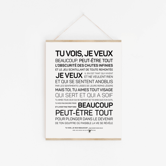 Affiche Tu vois, je veux beaucoup A6