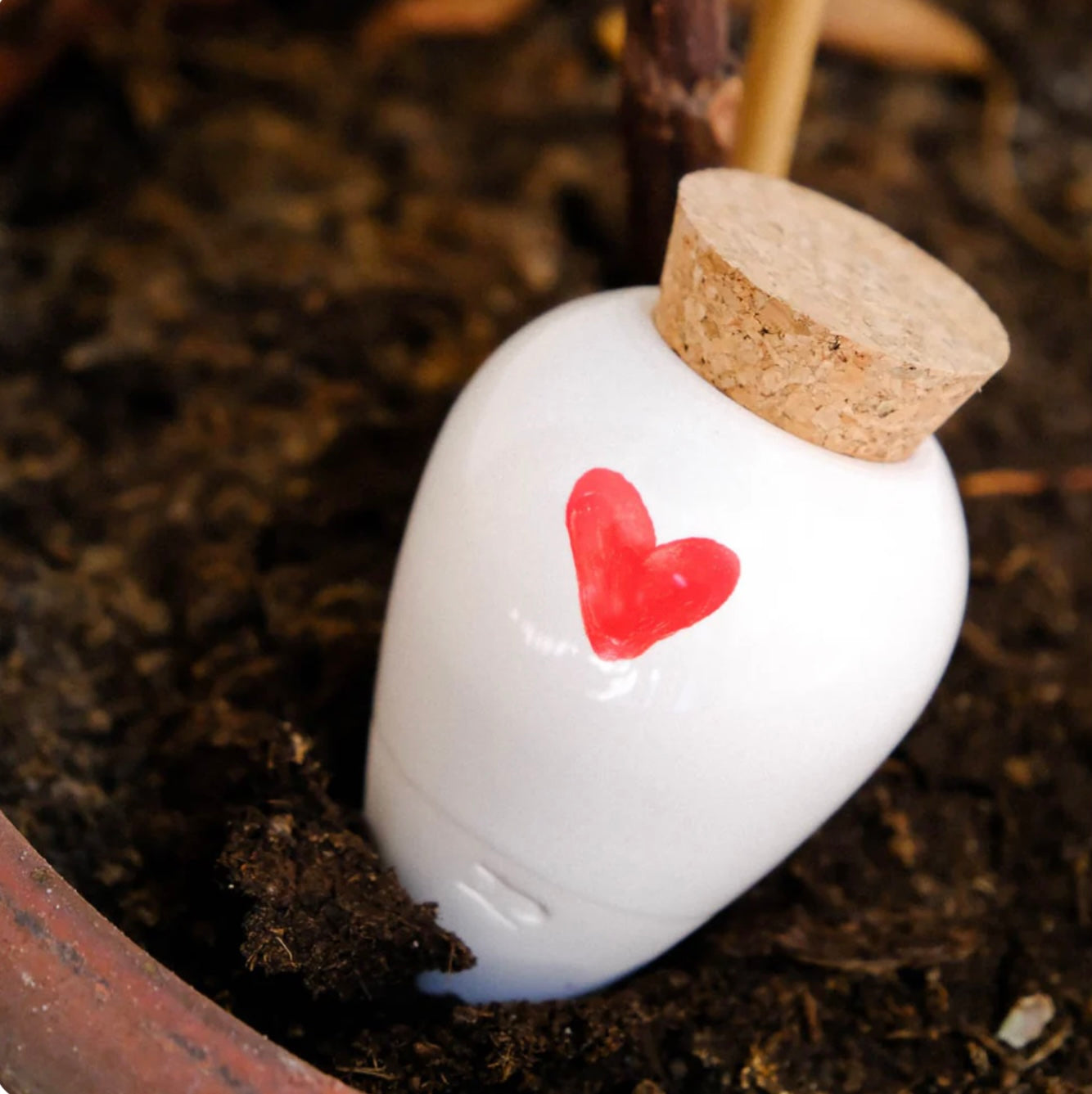 Olla - coeur