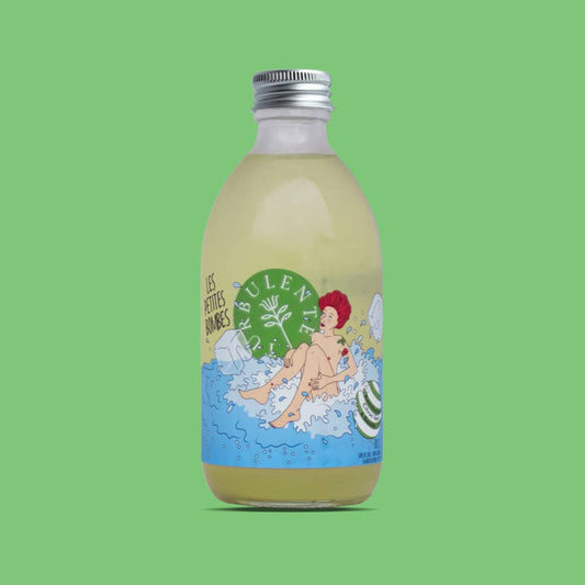 Kombucha Basilic Citron vert/ Les Petites Bombes n°4