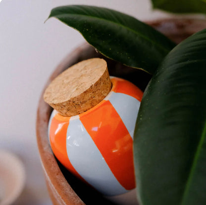 Olla - Rayé orange et bleu