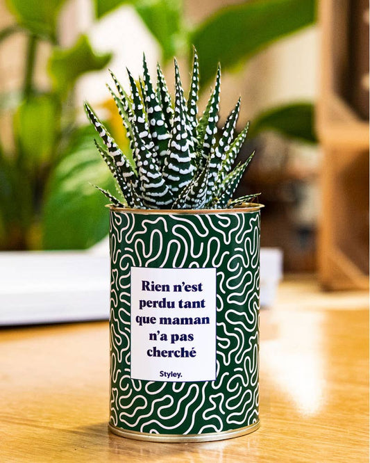 Rien n'est perdu tant que maman n'a pas cherché