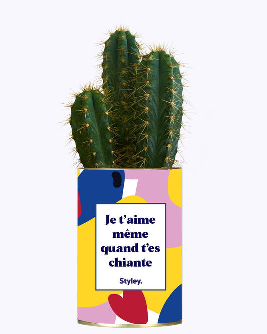 Je t'aime même quand t'es chiante