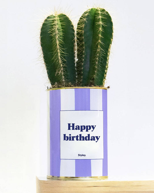 Plante en pot - Happy Birthday - pot à rayures