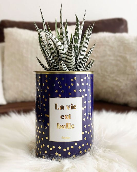 La vie est belle