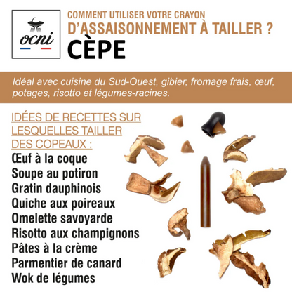 Crayon d’assaisonnement à tailler – Cèpe