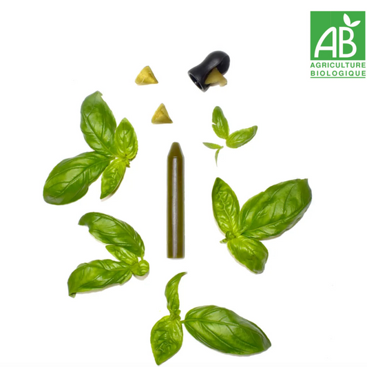 Crayon d’assaisonnement à tailler – Basilic (BIO)