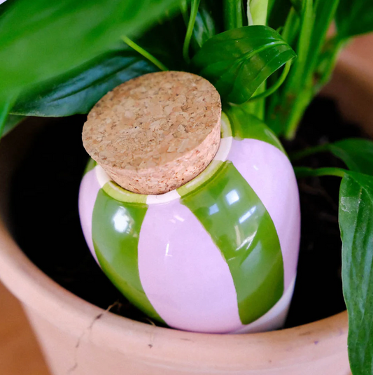 Olla hydratante – Rayé Vert & Lilas