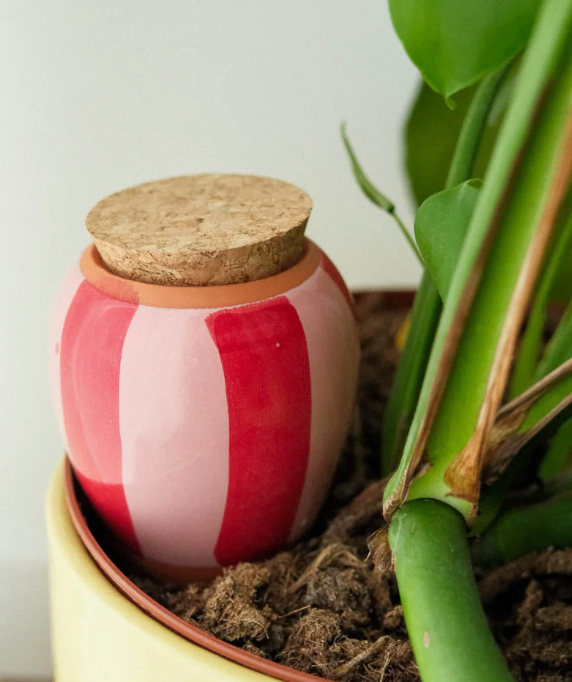 Olla hydratante – Rayé Rose et Rouge