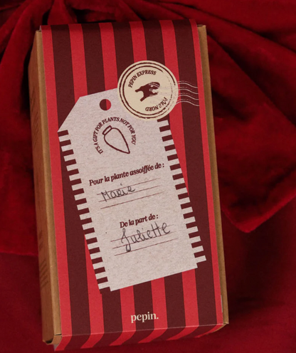 Olla hydratante Blanc grainé - Édition limitée Noël