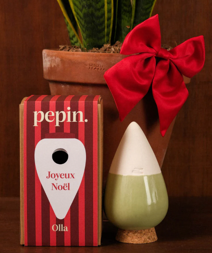 Olla hydratante Vert - Édition limitée Noël