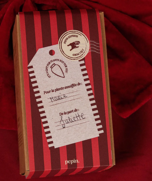 Olla hydratante Vert - Édition limitée Noël