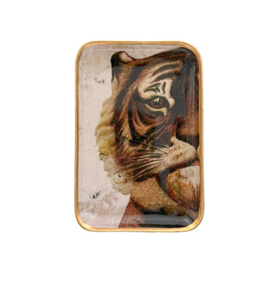 Plateau solo - Tigre