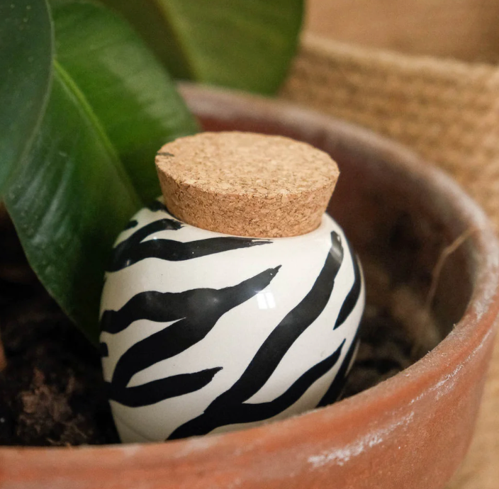 Olla hydratante motif Zèbre