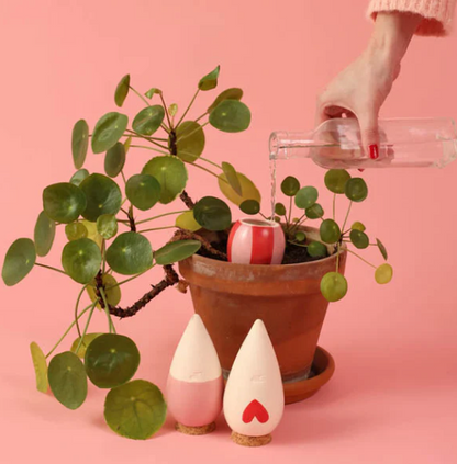 Trio Mini Olla – Les Lovers