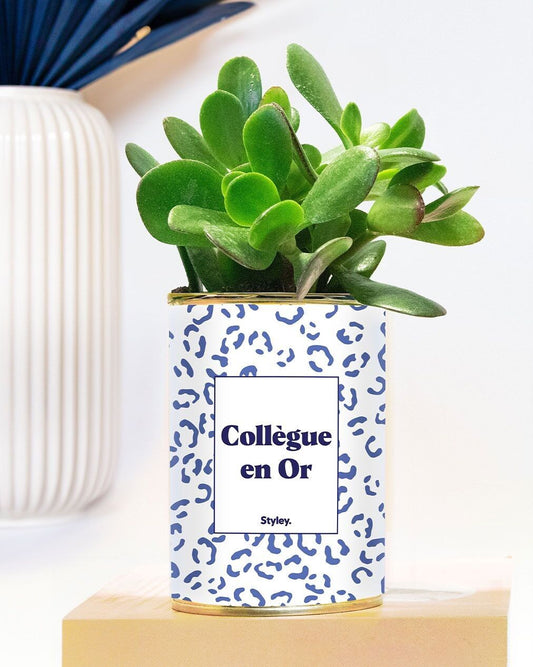 Plante - collègue en or - cadeau pour collègue de bureau et travail