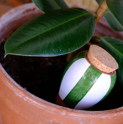 Olla - Rayé vert et blanc
