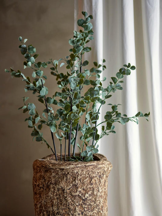 Eucalyptus Plante, Verte, Fleurs artificielles