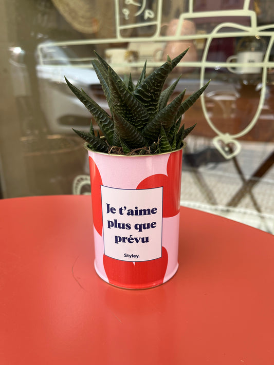 Je t’aime plus que prévu