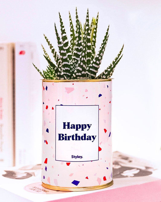 Plante Grasse - Happy Birthday