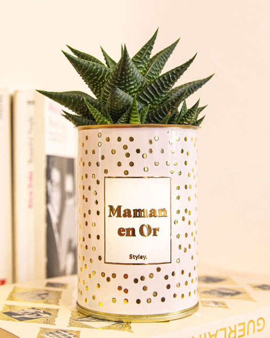 Cactus - Maman en or - Collection or