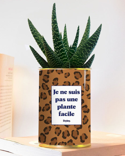 Plante grasse en pot - Je ne suis pas une plante facile