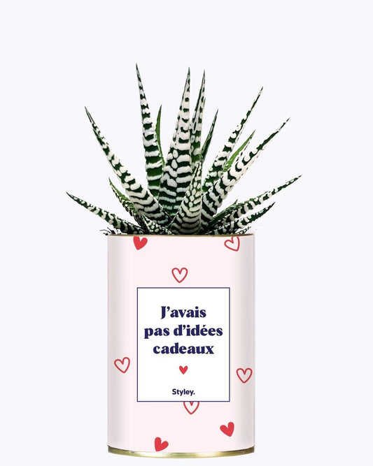 Plante - Cadeau de Saint-Valentin