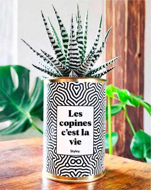 Les copines c'est la vie