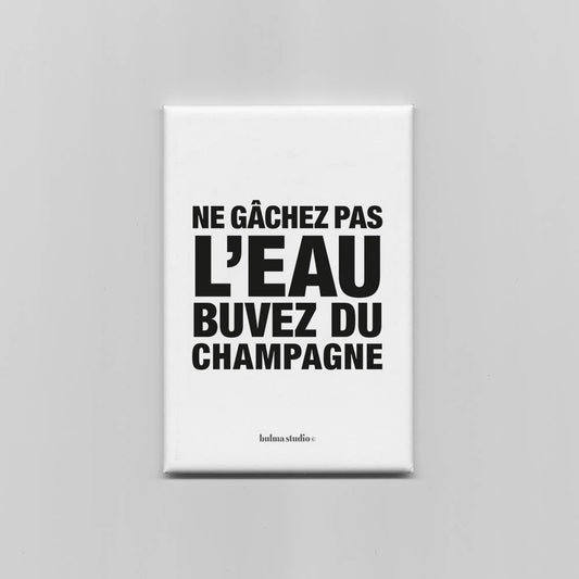 Aimant - " NE GÂCHEZ PAS L'EAU BUVEZ DU CHAMPAGNE "