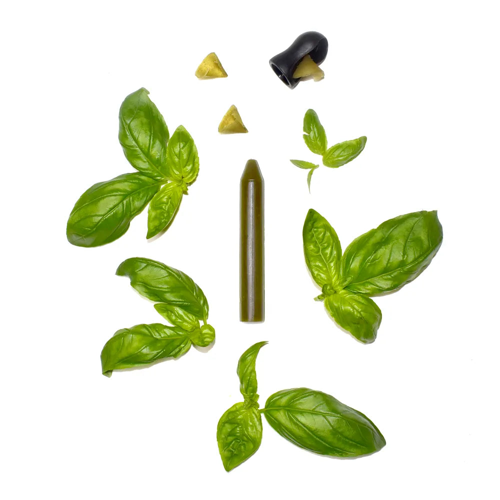 Crayon d’assaisonnement Basilic – Coffret avec taille-crayon – OCNI