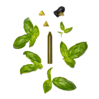 Crayon d’assaisonnement Basilic – Coffret avec taille-crayon – OCNI