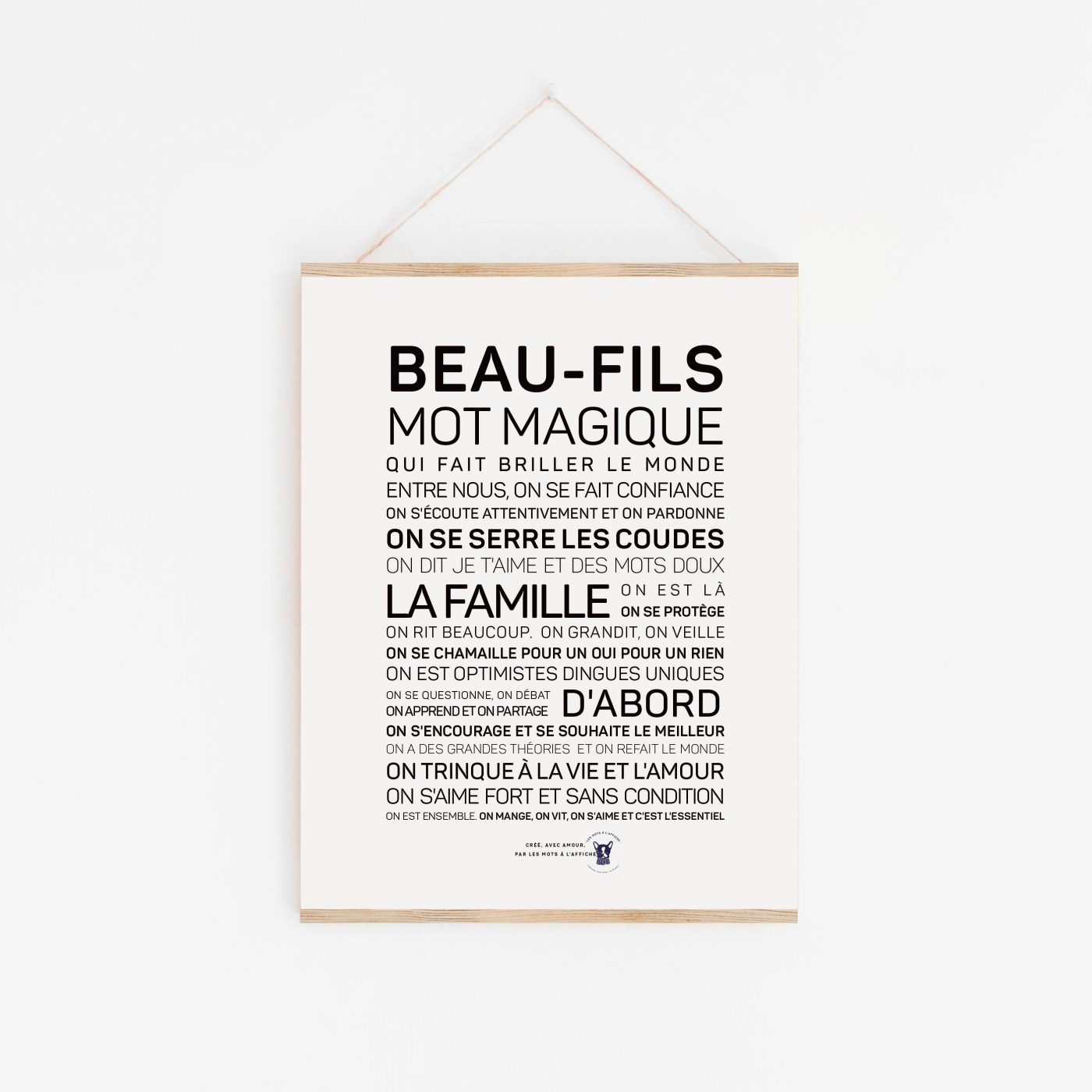 Affiche Beau-fils