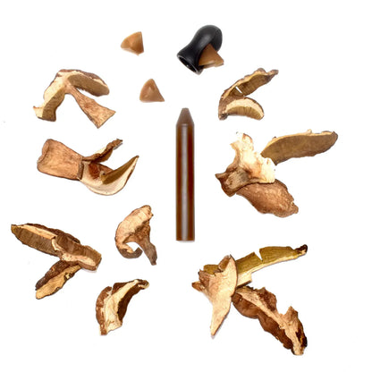 Crayon d’assaisonnement Cèpe – Coffret avec taille-crayon – OCNI