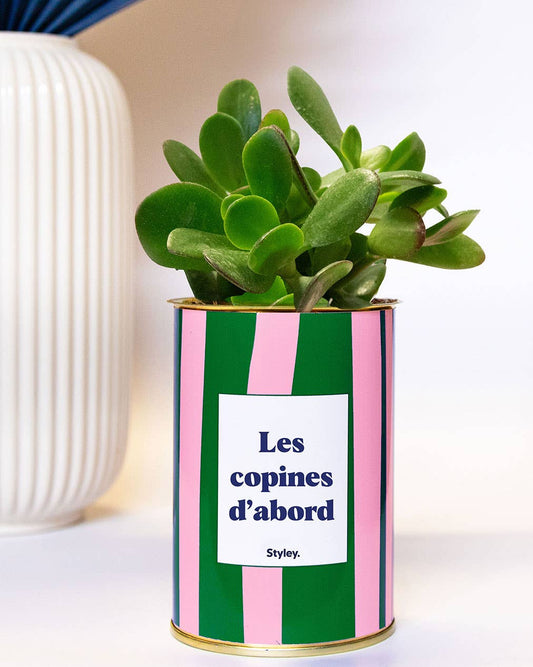 Plante en pot - Les copines d'abord - pot à rayures
