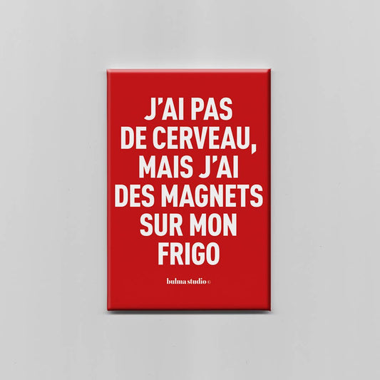 Aimant - " J'AI PAS DE CERVEAU MAIS J'AI DES MAGNETS SUR MON FRIGO "