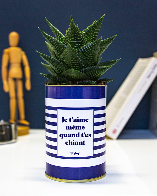Je t'aime même quand t'es chiant