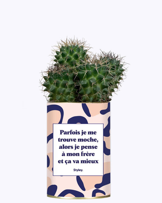 Moche frère