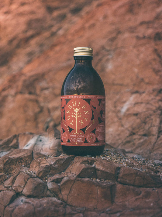 Kombucha Romarin & Gingembre